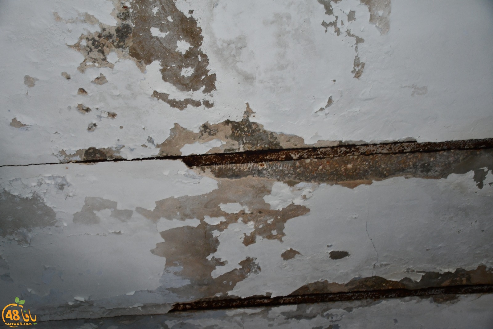 WhatsApp Image 2020-02-10 at 11.22.46 AM (1).jpeg.jpg.jpg